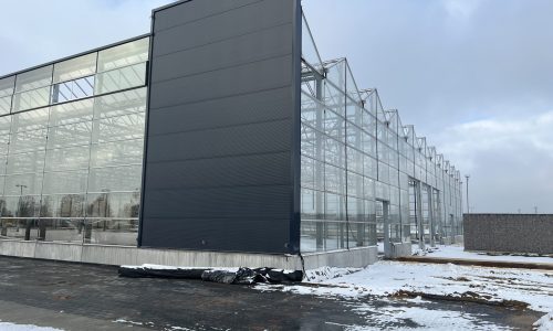 Gülez Gewächshausverglasung