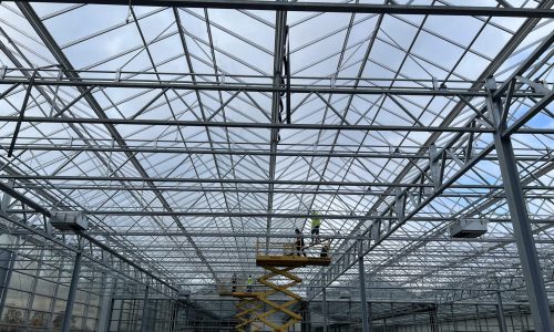 Gülez Gewächshausverglasung